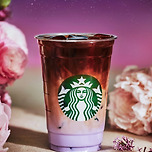 스타벅스 신상 베르가못 콜드브루💜 이미지