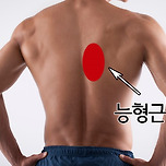 사람들이 잘 모르는 거북목, 목 디스크 증상 이미지