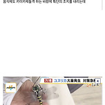 벌레 대량 발생한 오사카 엑스포 대처법 이미지