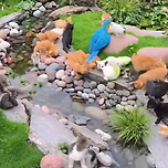 동물농장에서 토끼 찾기 이미지