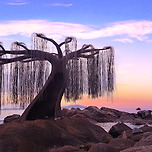 배미꾸미 조각공원 노을 이미지