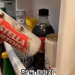 천재적인 유투버의 캔맥주 먹는법 이미지