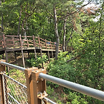 제천 옥순봉 출렁다리 만나다 이미지