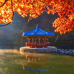 한국관광공사 pick 가을명소 이미지