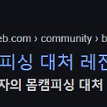 디시 몸캠피싱 상남자 대처 레전드를 통해 알아본 대응방법 이미지