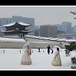 [서울 종로] 경복궁(慶福宮)의 설경(雪景) 이미지