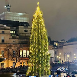영국에서 불호가 많다는 트라팔가 광장 크리스마스 트리 이미지