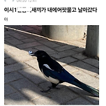 오늘자 경북대 에어팟 도난사건 발생 이미지
