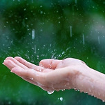 비와 당신 이야기 이미지