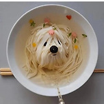 국수를 왜 이렇게 개같이 만들었어 이미지