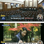 징역 8년짜리 범죄 이미지