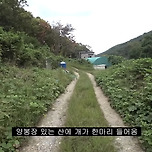 갑자기 유튜버 집에 들어온 떠돌이개가 알고보니 부잣집 도련님이었음 이미지