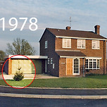 43년 동안 키운 크리스마스 트리 이미지