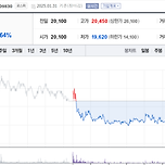 김문수 관련주 테마주 한눈에 정리 이미지