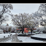 [서울 광진] 서울어린이대공원의 설경(雪景) 이미지