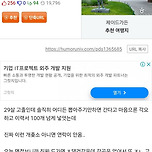AI로 검색해가며 개발하면 된다는 좆소 면접 이미지