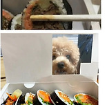 김밥 포장 좀 바꿔주세요 이미지