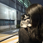 폼스키분양 폼스키책임분양 폼스키분양가 폼스키입양 폼스키 이미지