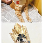 대만에서 유행중인 드래곤볼 챌린지 이미지