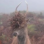 유행하는 헤어컷 이미지