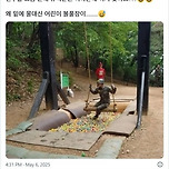 요즘 군대 유격 훈련.jpg 이미지