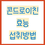 콘드로이친 효능 및 섭취방법(콘드로이친 1200) 이미지