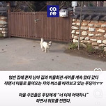 제주항공 사고로 가족들을 잃은 푸딩이 구조 하러간대 이미지