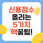 2025년 직장인을 위한 신용점수 올리는 5가지 꿀팁 이미지