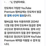 최후통첩이 온 유튜브 이민자들 이미지