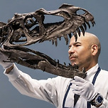 420억에 팔린 공룡화석 이미지