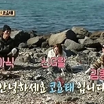 코요태 멤버들 별명.jpg 이미지