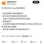 돈 거의 안쓰고 노는 법 알려준다 이미지