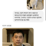 우리 고양이 챗지피티한테 사람처럼 그려달랬더니 이미지