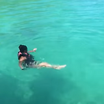 돌고래 부스터.mp4 이미지