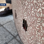 절대 밟지 말라는 분홍색 맨홀 이미지