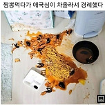 짬뽕 먹다 애국심이 차올랐다 이미지