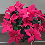 새로운 시작을 응원합니다. 사랑합니다.감사합니다. 이미지