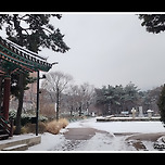 [서울 중구] 장충단공원(奬忠壇公園)의 설경(雪景) 이미지