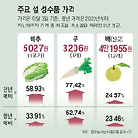 [뉴스] 설 물가 비상… 배추 59%-무 77% 뛰어 이미지