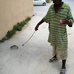 게 산책 중인 아저씨 이미지