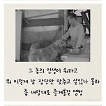92세 할머니의 인생 조언 이미지