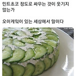 고작 민트초코로 정도로 싸우는 게 웃기지 않는가 이미지