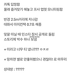 ISTP의 플러팅 이미지