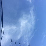 유로파리그 우승을 축하합니다. 이미지