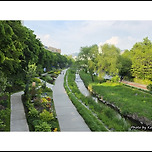 [서울 노원] 당현천 산책 이미지