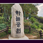 [서울 마포] 하늘공원의 가을 / 秋 이미지