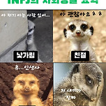 INFJ 사회생활 4컷 요약.Jpg 이미지