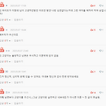 캣맘 아내 이해해야 하나요? 이미지