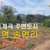 신라부동산