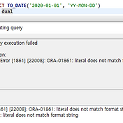 Understanding Date Format Picture: Converting Input String